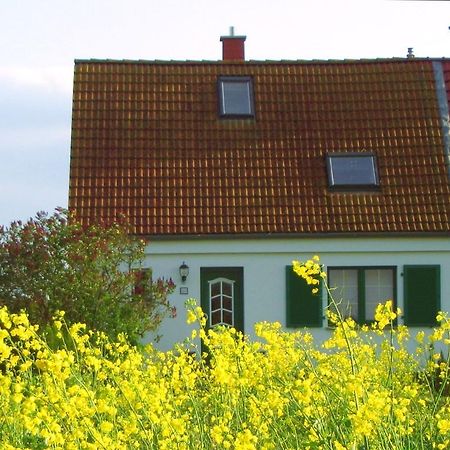 Ferienhaus Luise Ludershagen Exterior foto